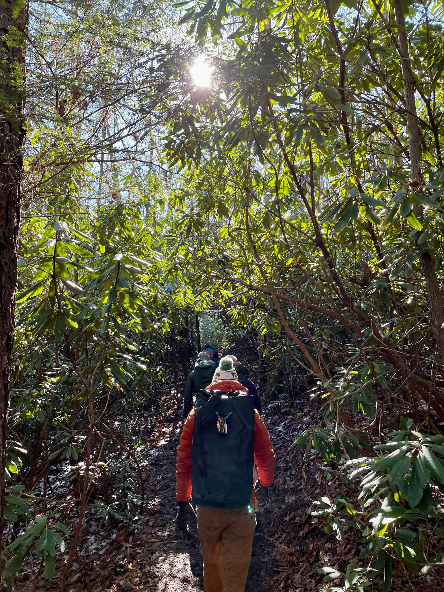 A man chalks up his hands while he stands in his harness connected to an autobelay